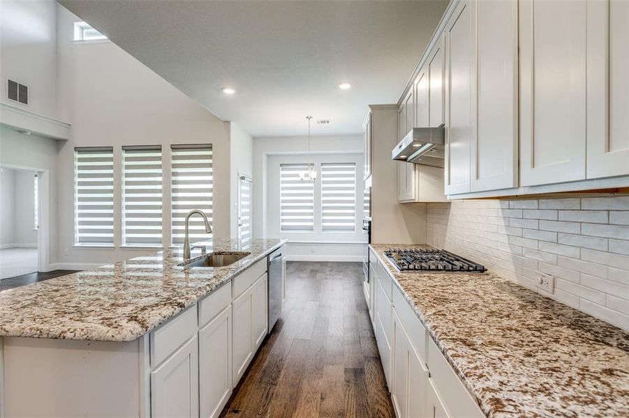 Kitchen with a sink, appliances with stainless steel finishes, range hood, dark wood finished floors, and plenty of natural light