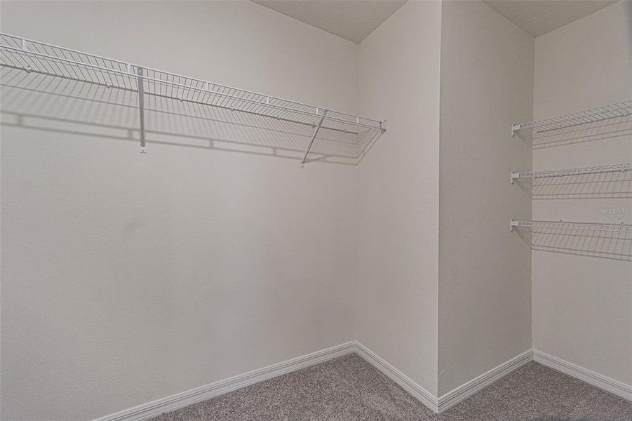 Spacious, unfurnished interior of a new home in , Temple Terrace (Image 25). Spacious, unfurnished interior of a new home in , Temple Terrace (Image 25).