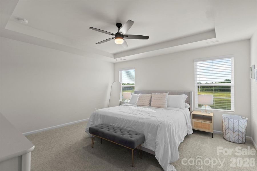 Tray ceiling and fan Tray ceiling and fan