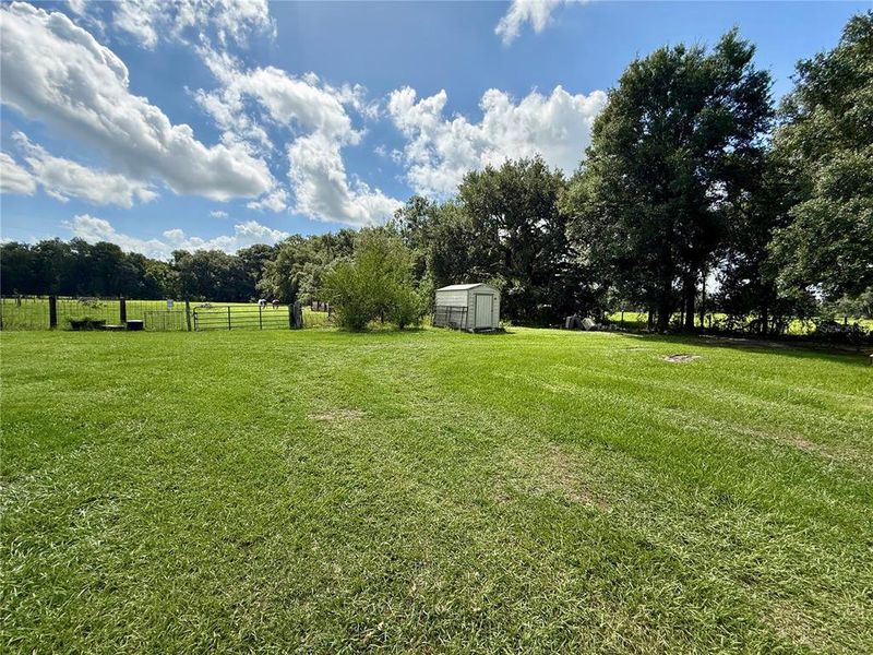 Natural landscape and outdoor views near in Bushnell (Image 47). Natural landscape and outdoor views near in Bushnell (Image 47).