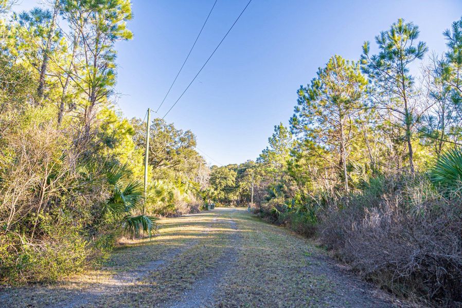 Natural landscape and outdoor views near  in Edisto Island (Image 21).