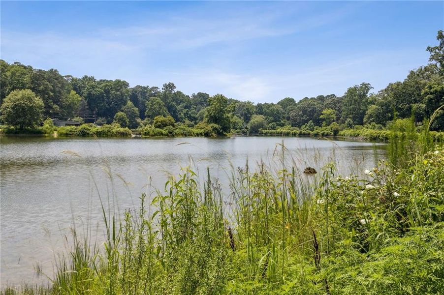 Natural landscape and outdoor views near  in Pine Lake (Image 61).