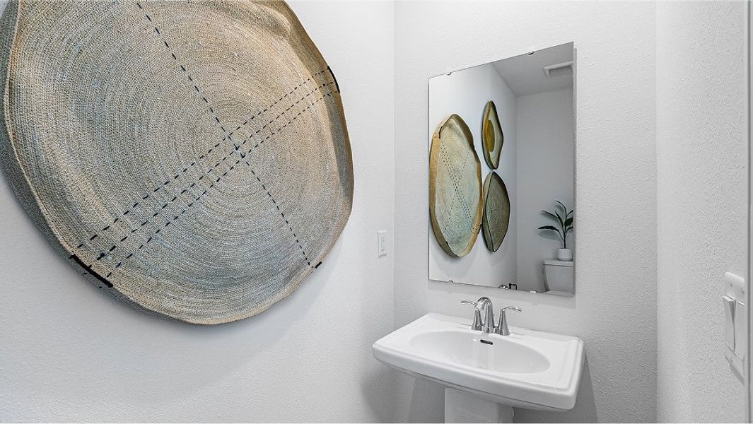 3026 Trinidad II Powder F1