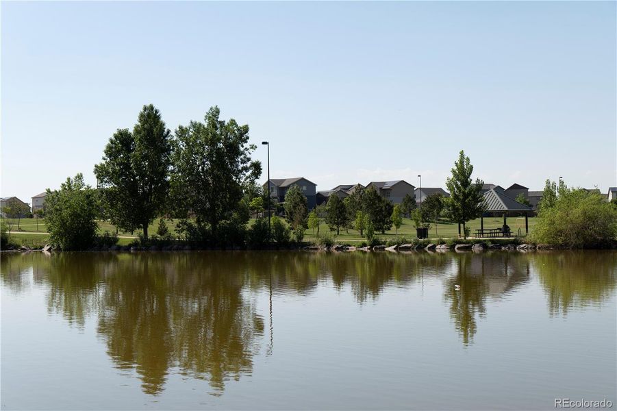 Natural landscape and outdoor views near  in Aurora (Image 21).