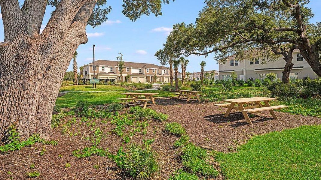 Community amenities in Vinterra Townhomes, Nokomis (Image 25).