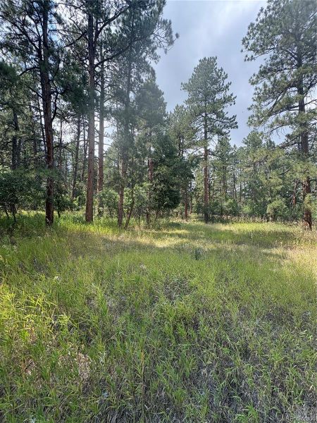 Image 5 of a home in .