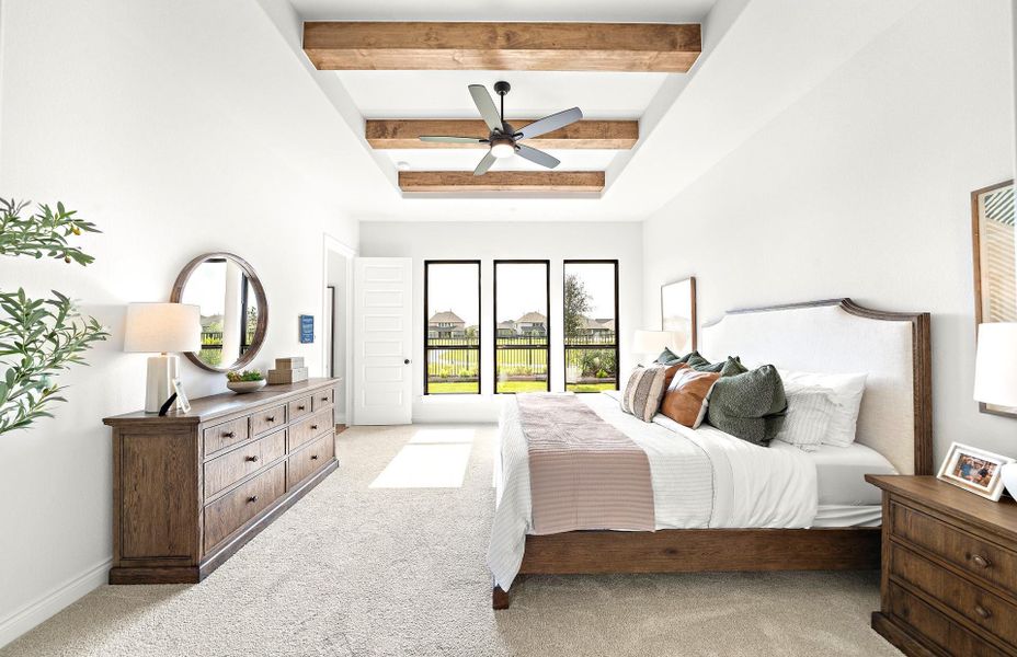 **Representative photo**