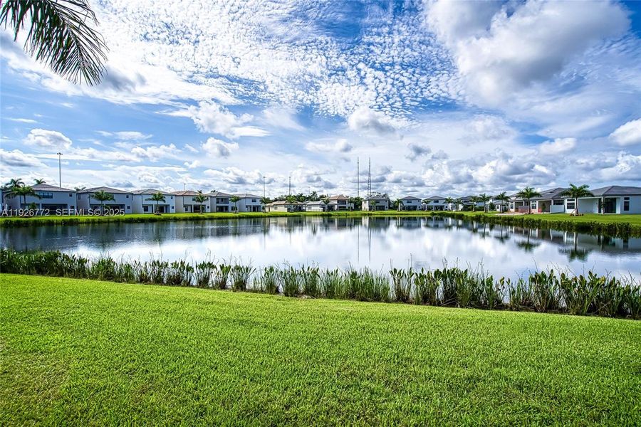 Natural landscape and outdoor views near Lotus Edge in Boca Raton (Image 59). Natural landscape and outdoor views near Lotus Edge in Boca Raton (Image 59).