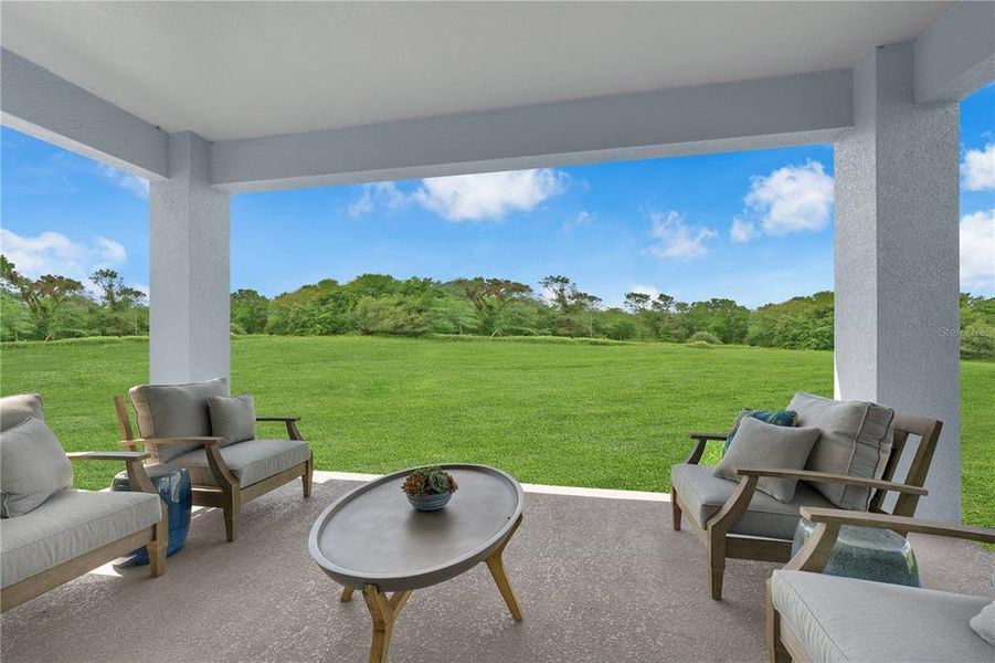 Exterior details and patio area of a home in Wynnstone, Davenport (Image 25).