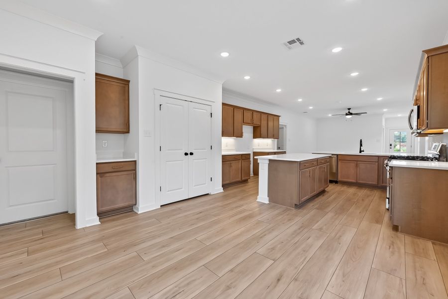 Furnished interior view inside a new home in Mostyn Springs, Magnolia (Image 6).