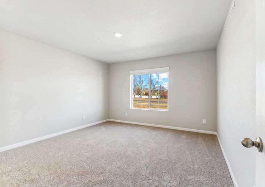 The secondary bedroom has carpet.