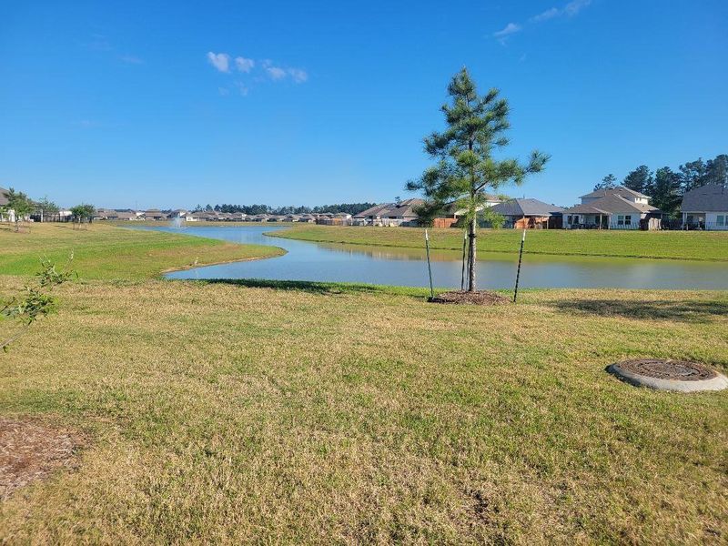Subdivision offers a large,beautiful lake.
