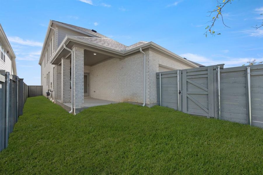 2_8825 Acorn- Back-1