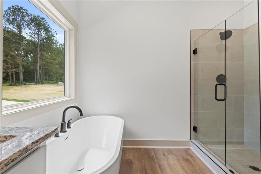 Furnished interior view inside a new home in , Buchanan (Image 8).