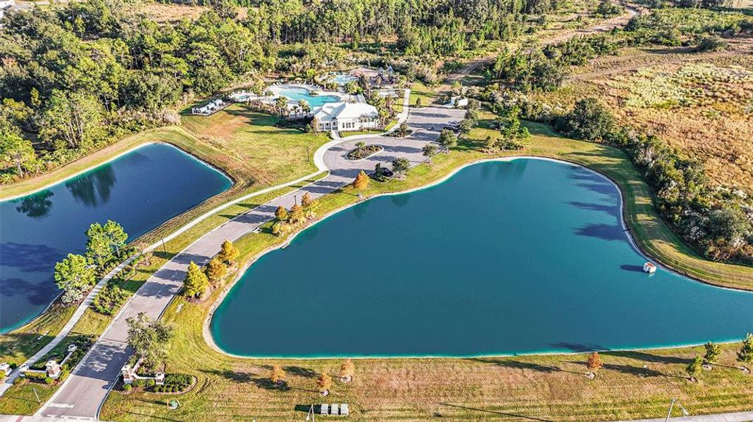 Community amenities in , Wesley Chapel (Image 39).