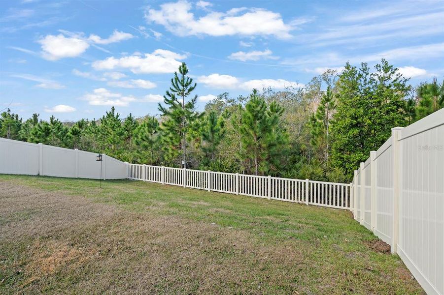Exterior details and patio area of a home in Angeline Active Adult: Active Adult Manors, Land O' Lakes (Image 25). Exterior details and patio area of a home in Angeline Active Adult: Active Adult Manors, Land O' Lakes (Image 25).
