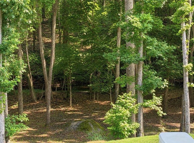 Natural landscape and outdoor views near in Waleska (Image 42). Natural landscape and outdoor views near in Waleska (Image 42).
