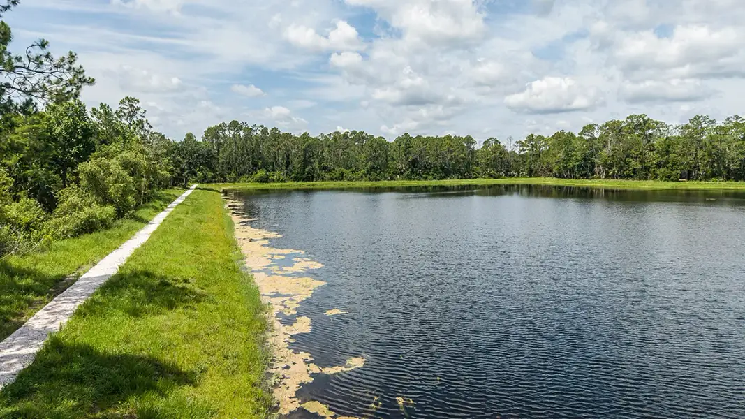 Natural landscape and outdoor views near Ardisia Park in New Smyrna Beach (Image 17).