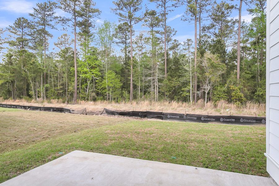 Exterior details and patio area of a home in Phillips Crossing, Ridgeville (Image 24).