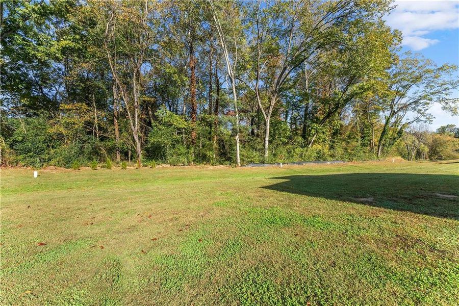 Natural landscape and outdoor views near  in Cleveland (Image 28).