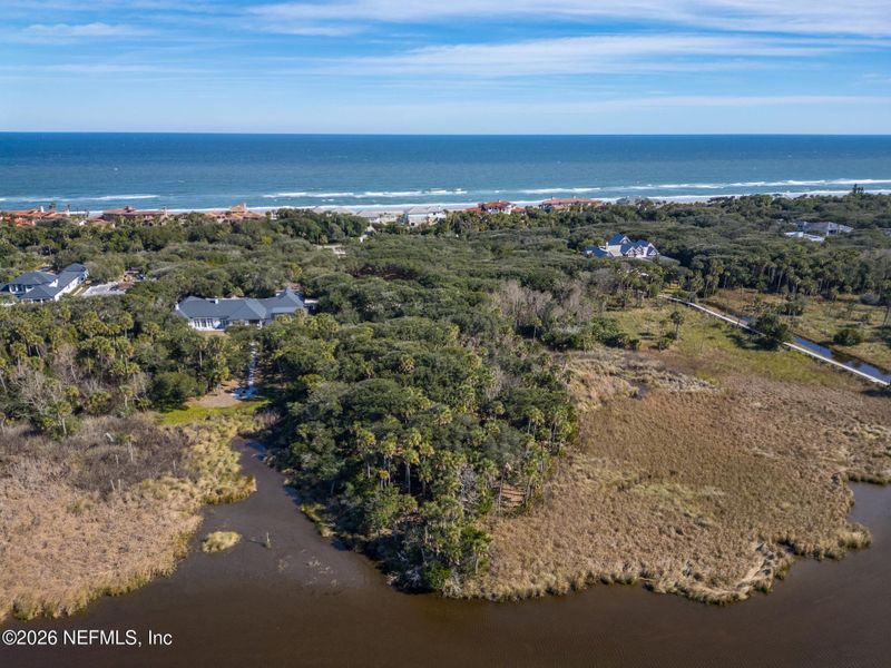 Natural landscape and outdoor views near  in Ponte Vedra Beach (Image 6).