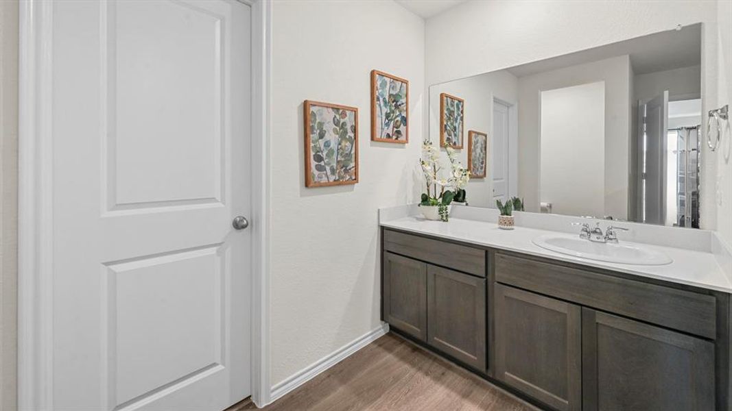 Bathroom featuring vanity, dark wood finished floors, and a textured wall Bathroom featuring vanity, dark wood finished floors, and a textured wall