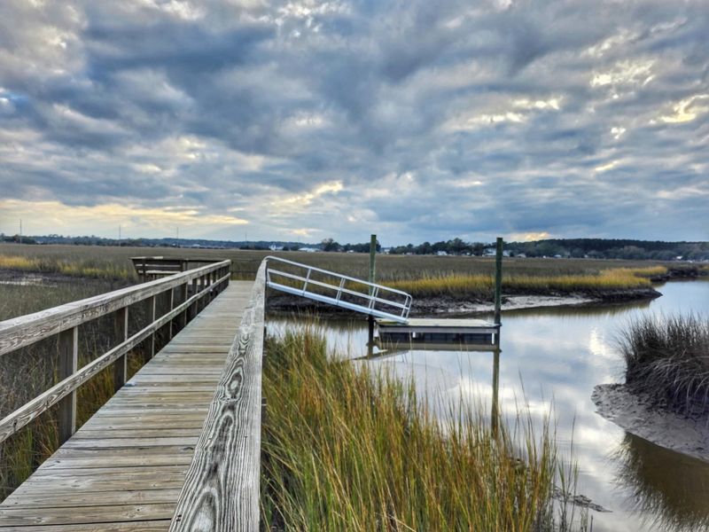 Natural landscape and outdoor views near Cordgrass Landing in Johns Island (Image 39).