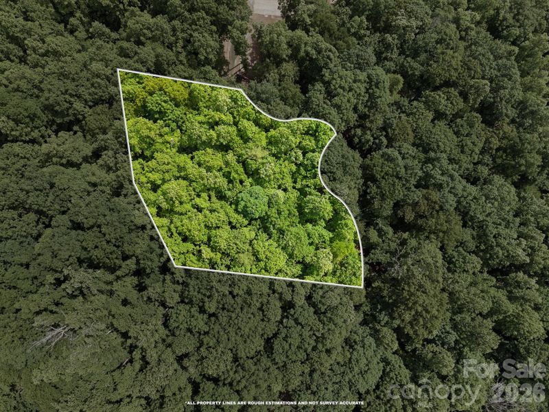 Natural landscape and outdoor views near  in Hendersonville (Image 6).