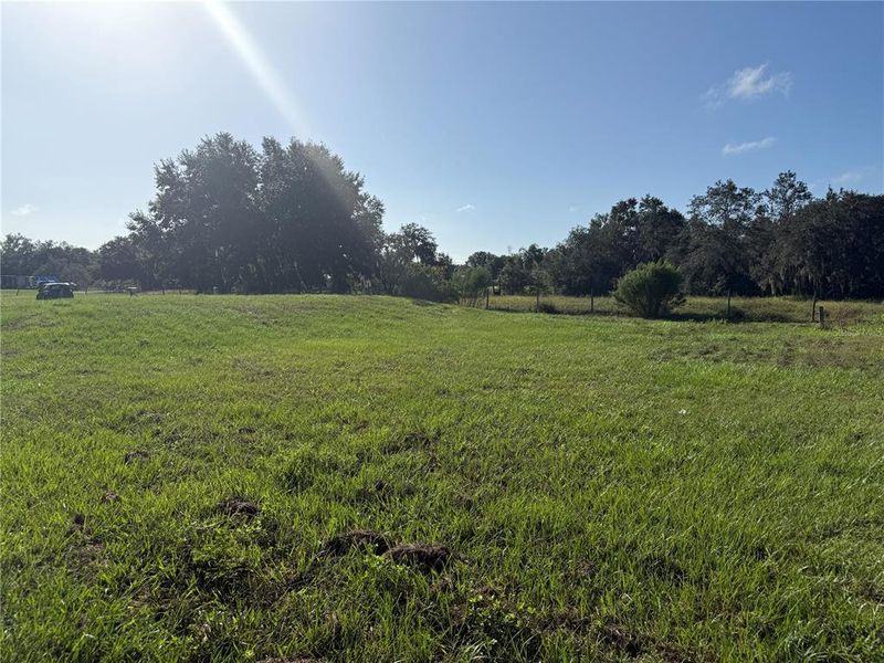 Natural landscape and outdoor views near  in Lake Wales (Image 9).