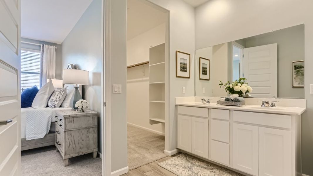 Odyssey Owner's Suite