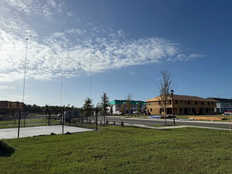 Amenities - Pickleball & Lawns