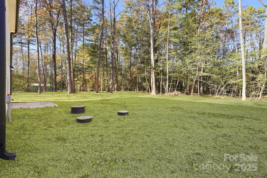 Backyard where acreage awaits!