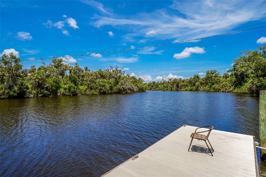 Natural landscape and outdoor views near Creeks Edge at Twin Rivers in Parrish (Image 49).
