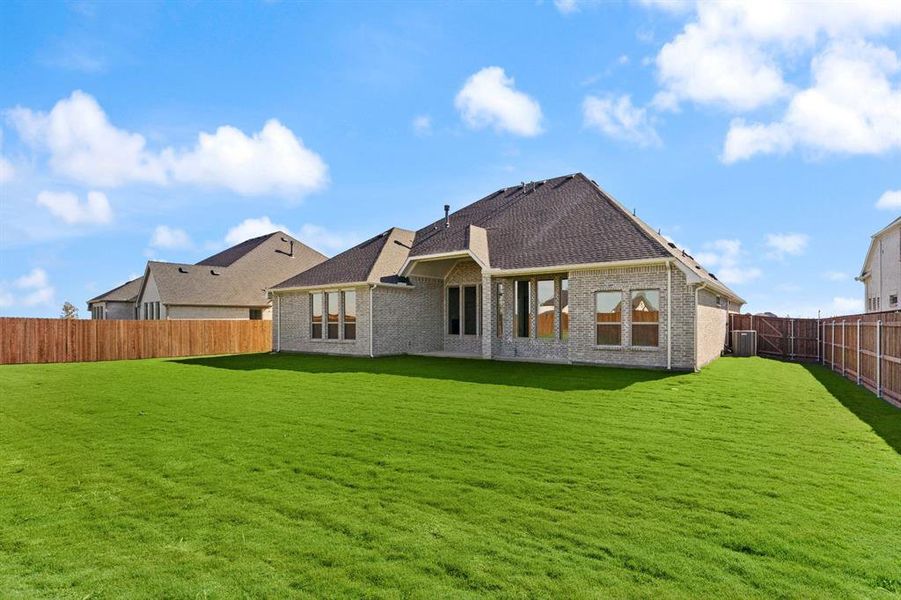 DAL_Myrtle Creek_Natalia_265 Basketflower (26)