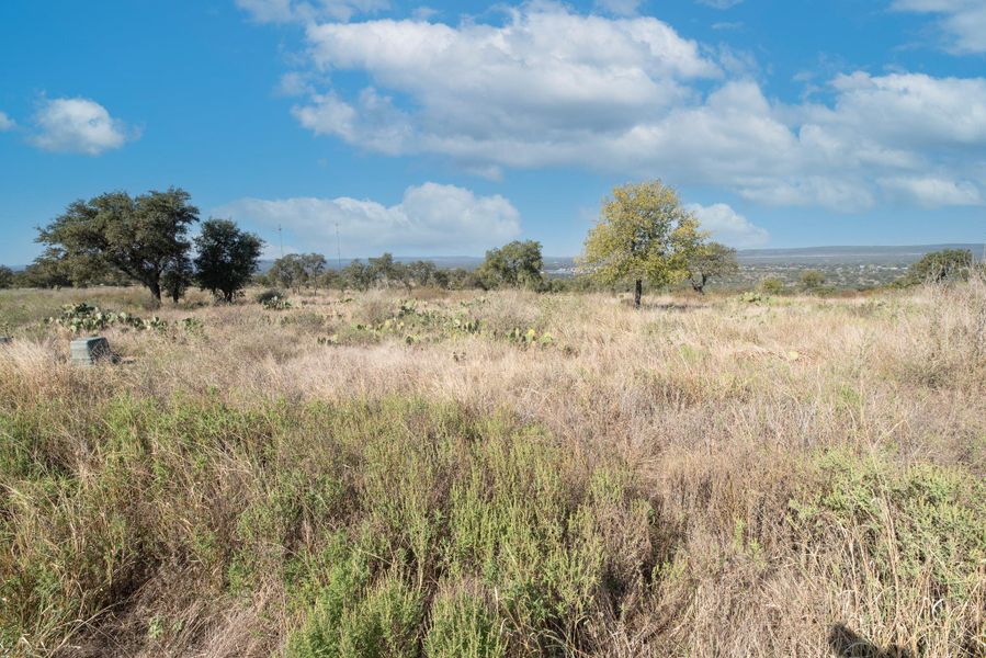 Natural landscape and outdoor views near  in Kingsland (Image 15).