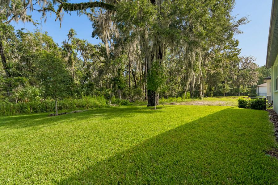 Natural landscape and outdoor views near Southern Hills Plantation in Brooksville (Image 31).