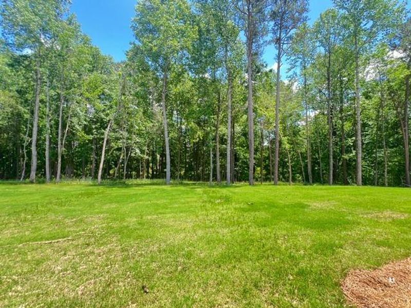 Natural landscape and outdoor views near in Cumming (Image 36). Natural landscape and outdoor views near in Cumming (Image 36).