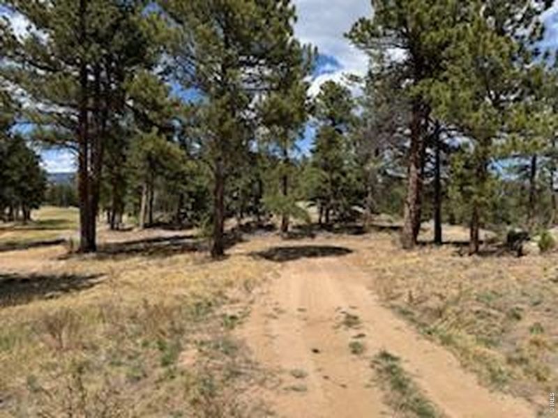 Natural landscape and outdoor views near  in Red Feather Lakes (Image 17).