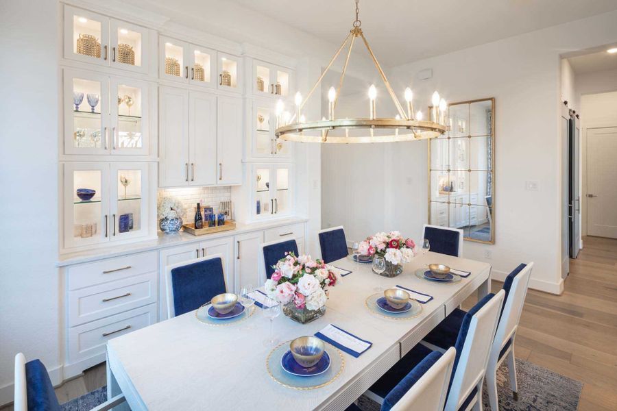 Representative Study - some options shown