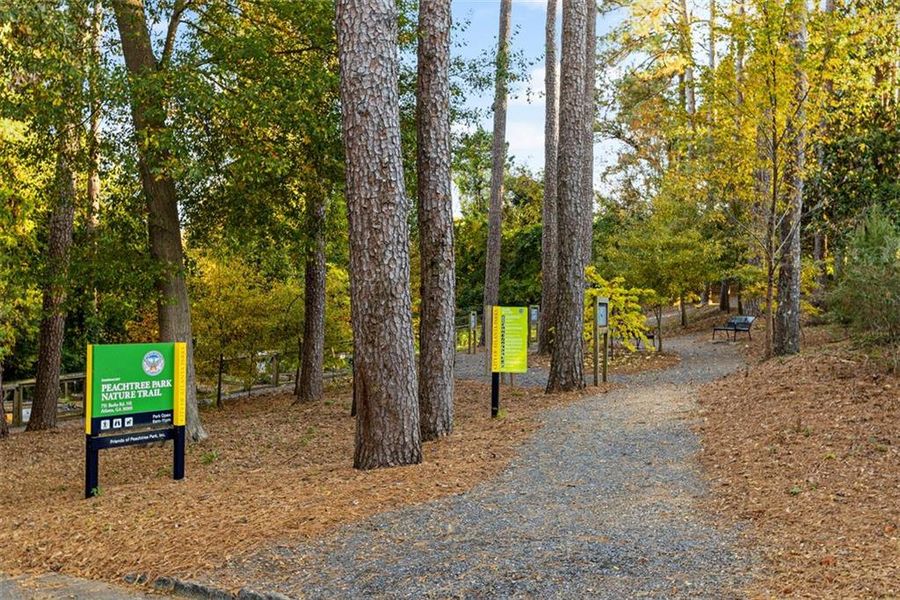 Natural landscape and outdoor views near  in Atlanta (Image 17).