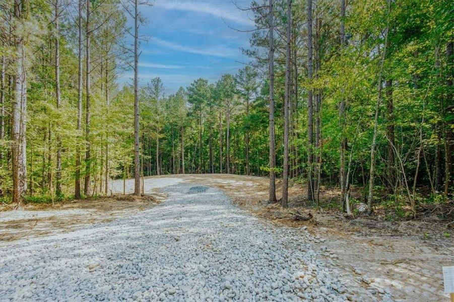 Natural landscape and outdoor views near  in Rockmart (Image 30).