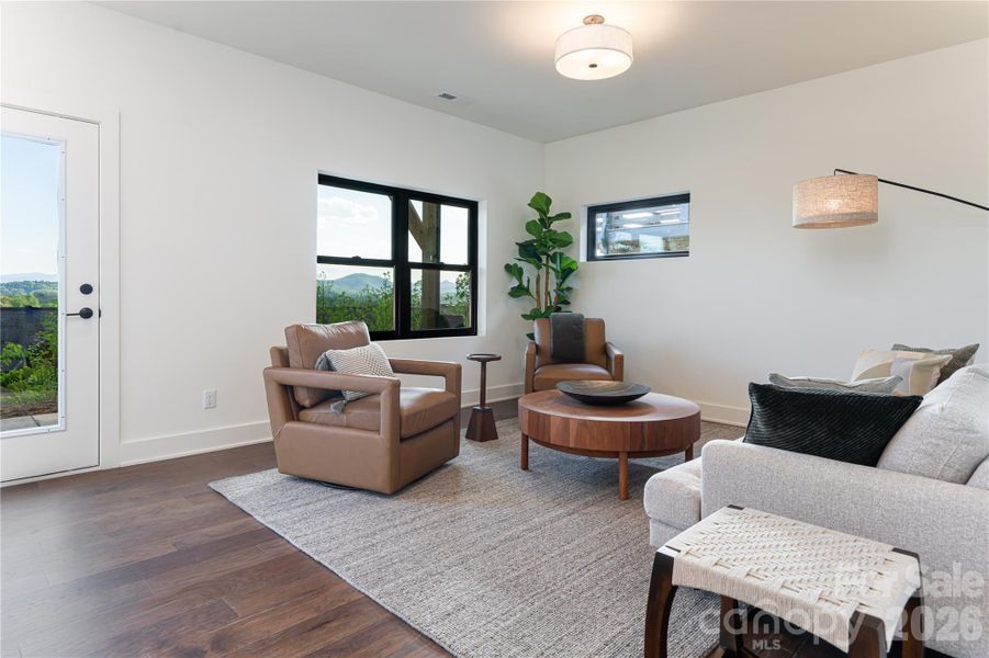 Lower family room