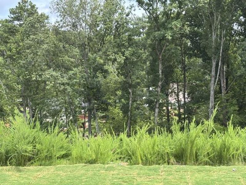Natural landscape and outdoor views near in Suwanee (Image 17). Natural landscape and outdoor views near in Suwanee (Image 17).