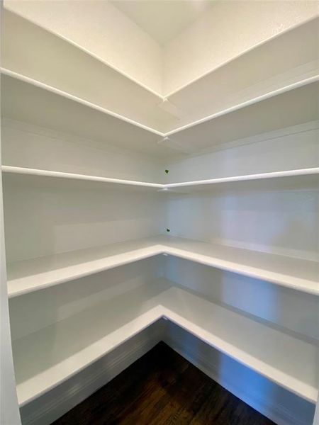 Huge corner pantry with lots of storage