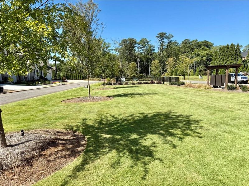 Natural landscape and outdoor views near  in Marietta (Image 34).