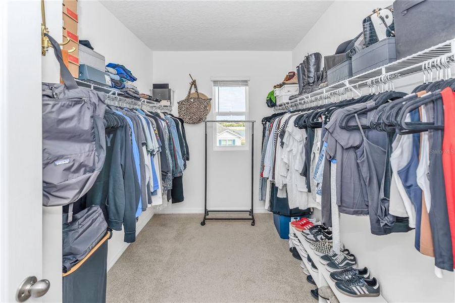 Close-up of interior finishes inside a home in Eastgrove, Sanford (Image 22).