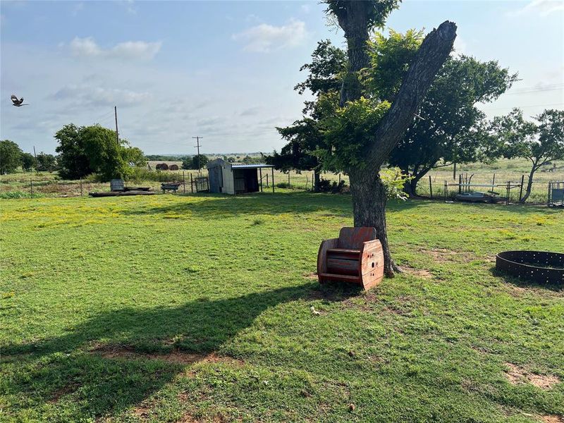 Natural landscape and outdoor views near  in Nocona (Image 24).
