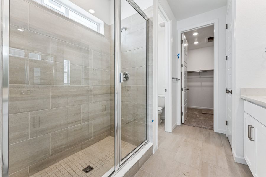 Image 24 representing the Bailey by Taylor Morrison in Trailstone Town Collection, Arvada, CO.