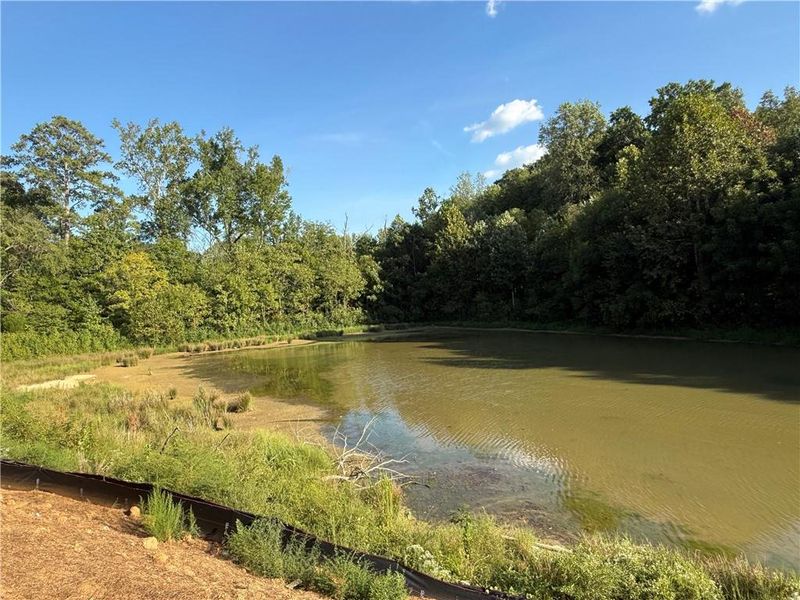 Natural landscape and outdoor views near Maple Village in Adairsville (Image 22).