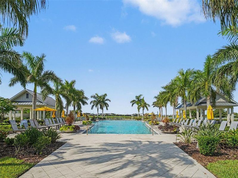 Community amenities in , Sarasota (Image 27). Community amenities in , Sarasota (Image 27).